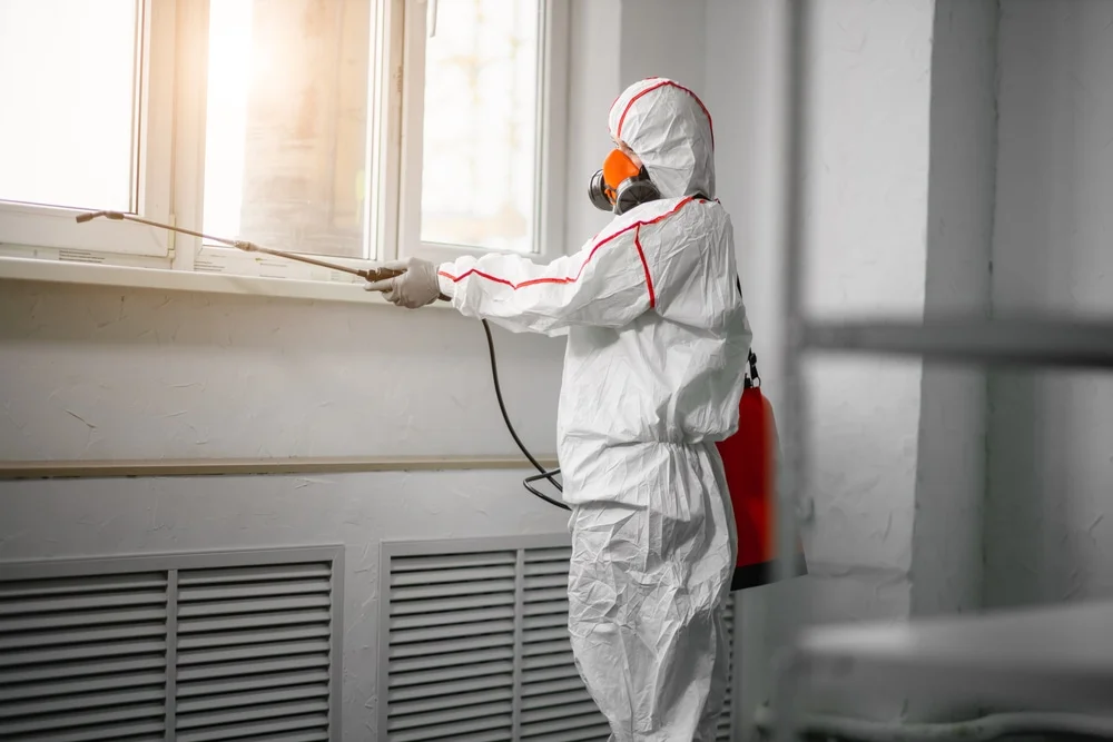 Professional mold remediation services in Geronimo, OK